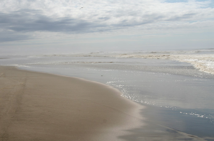The Sea