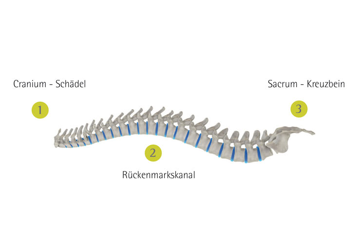 Craniosacrale Biodynamik